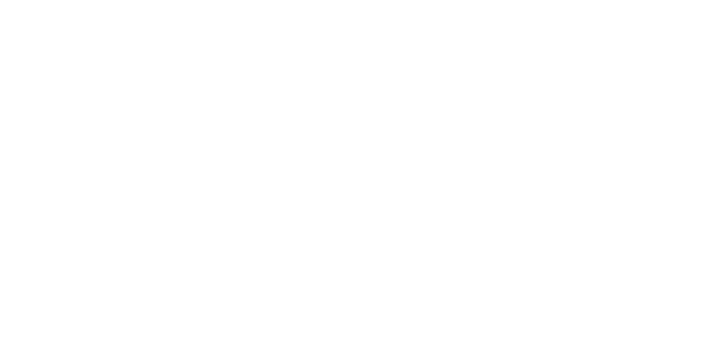 South Carolina Women in Leadership